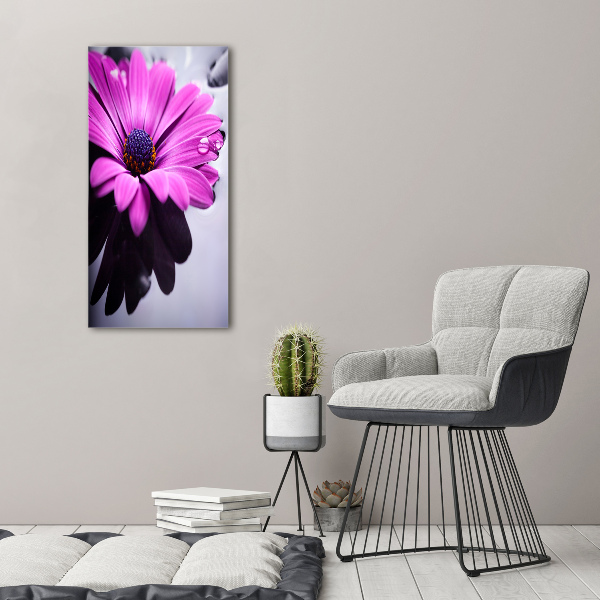 Impresión en metacrilato de alta calidad vertical Gerbera rosa