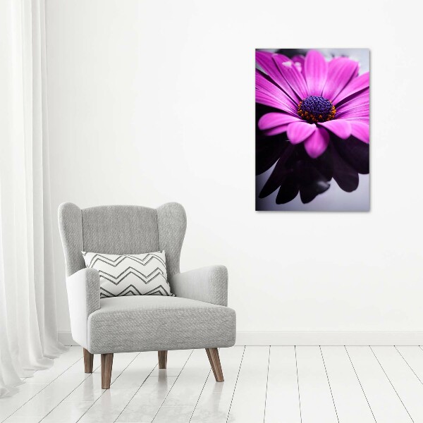 Impresión en metacrilato de alta calidad vertical Gerbera rosa