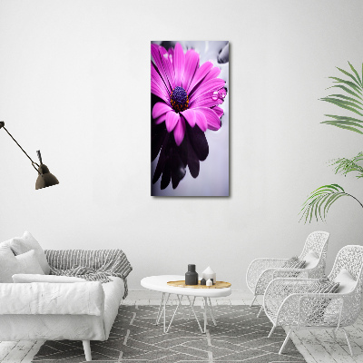 Impresión en metacrilato de alta calidad vertical Gerbera rosa