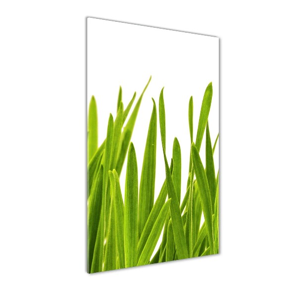 Cuadro decorativo en acrílico brillante vertical Hierba verde