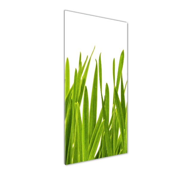Cuadro decorativo en acrílico brillante vertical Hierba verde