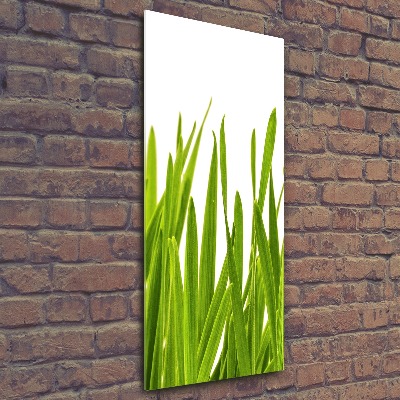 Cuadro decorativo en acrílico brillante vertical Hierba verde