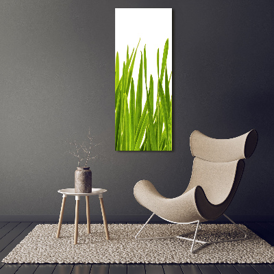 Cuadro decorativo en acrílico brillante vertical Hierba verde
