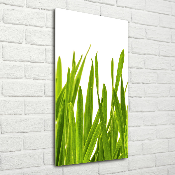 Cuadro decorativo en acrílico brillante vertical Hierba verde