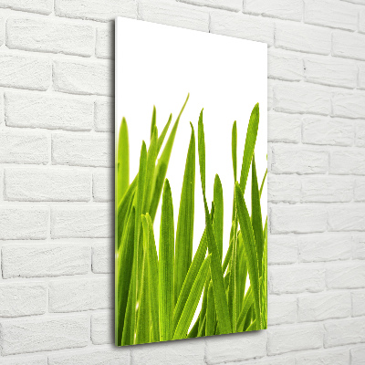 Cuadro decorativo en acrílico brillante vertical Hierba verde