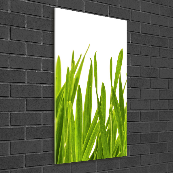 Cuadro decorativo en acrílico brillante vertical Hierba verde