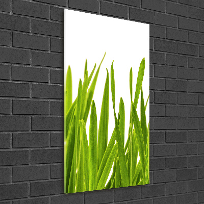 Cuadro decorativo en acrílico brillante vertical Hierba verde