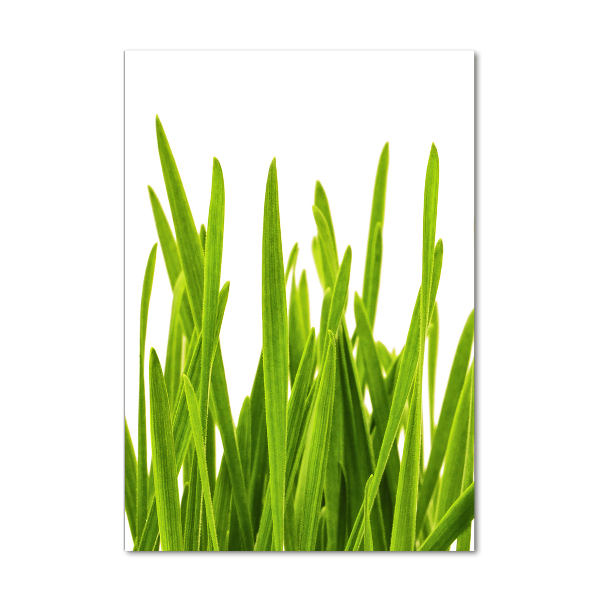 Cuadro decorativo en acrílico brillante vertical Hierba verde