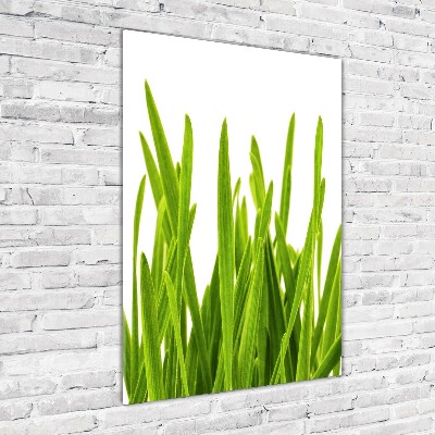 Cuadro decorativo en acrílico brillante vertical Hierba verde
