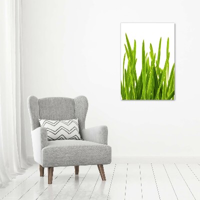 Cuadro decorativo en acrílico brillante vertical Hierba verde