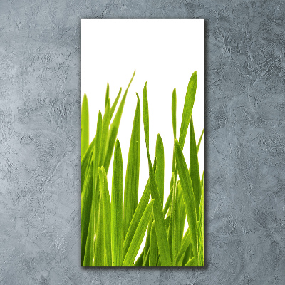 Cuadro decorativo en acrílico brillante vertical Hierba verde