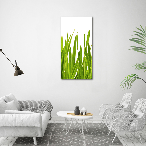 Cuadro decorativo en acrílico brillante vertical Hierba verde