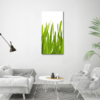 Cuadro decorativo en acrílico brillante vertical Hierba verde