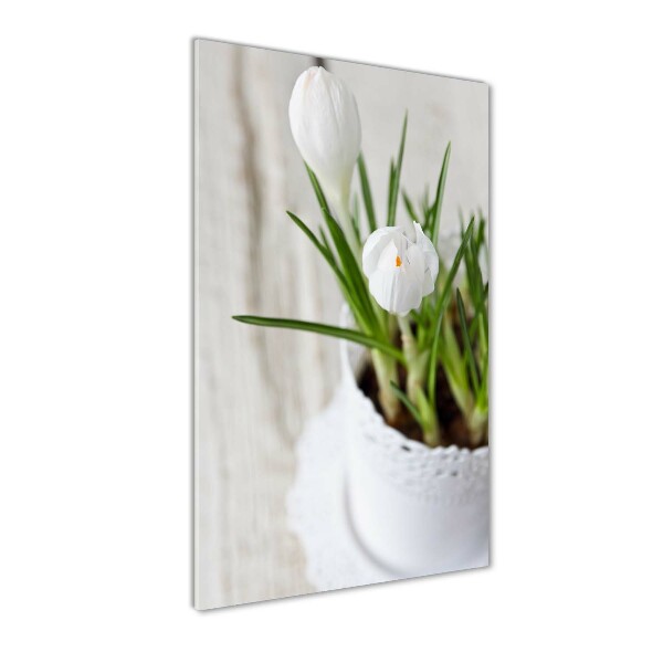 Cuadro de metacrilato vertical azafranes blancos