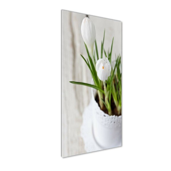 Cuadro de metacrilato vertical azafranes blancos