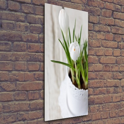 Cuadro de metacrilato vertical azafranes blancos