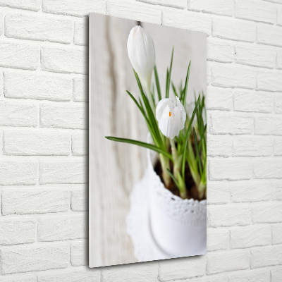 Cuadro de metacrilato vertical azafranes blancos