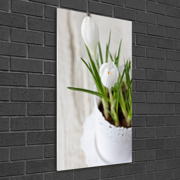 Cuadro de metacrilato vertical azafranes blancos