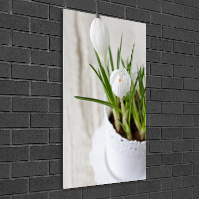 Cuadro de metacrilato vertical azafranes blancos