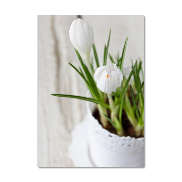 Cuadro de metacrilato vertical azafranes blancos