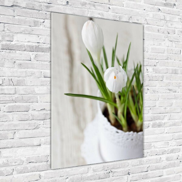 Cuadro de metacrilato vertical azafranes blancos
