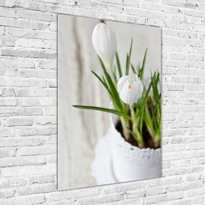 Cuadro de metacrilato vertical azafranes blancos