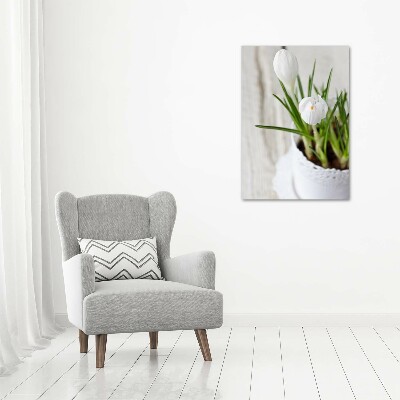 Cuadro de metacrilato vertical azafranes blancos
