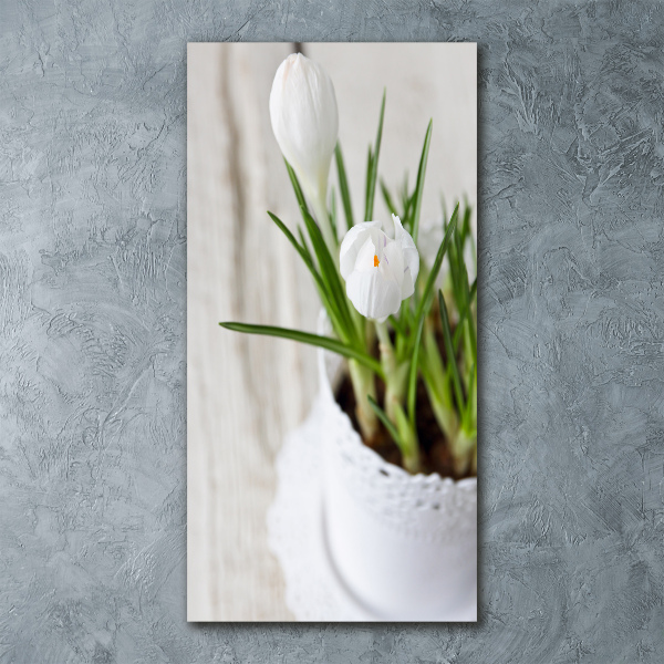 Cuadro de metacrilato vertical azafranes blancos