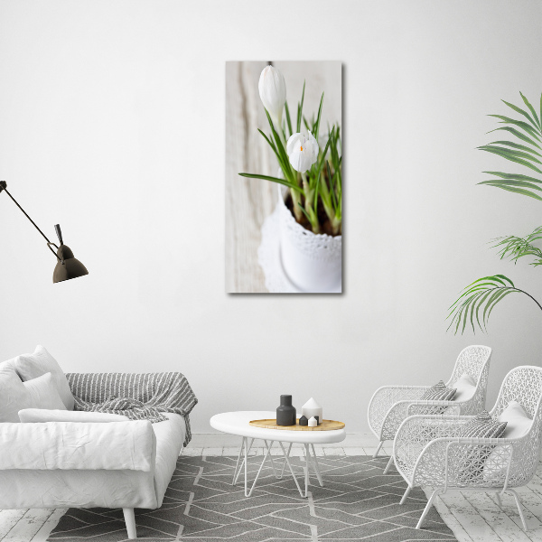 Cuadro de metacrilato vertical azafranes blancos
