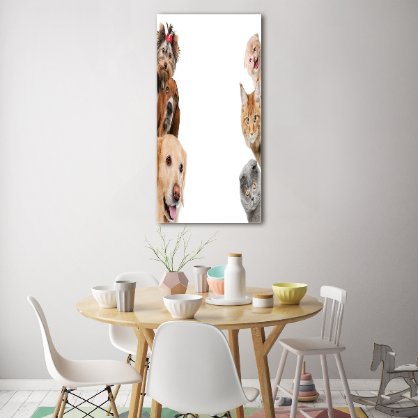Cuadro de metacrilato vertical Perros y gatos