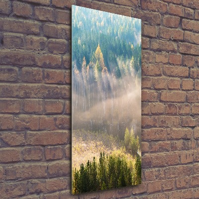 Cuadro decorativo en acrílico brillante vertical Niebla sobre el bosque
