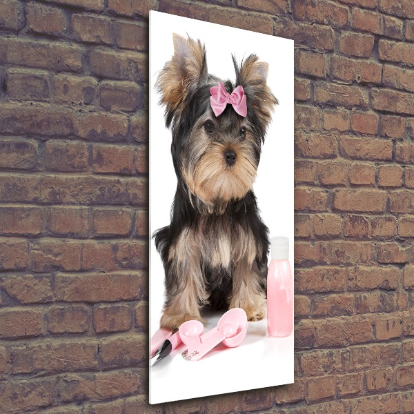 Impresión en metacrilato de alta calidad vertical Cosméticos de Yorkshire