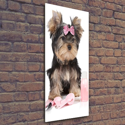 Impresión en metacrilato de alta calidad vertical Cosméticos de Yorkshire