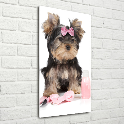 Impresión en metacrilato de alta calidad vertical Cosméticos de Yorkshire