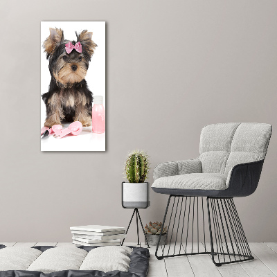 Impresión en metacrilato de alta calidad vertical Cosméticos de Yorkshire