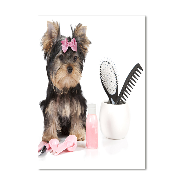 Impresión en metacrilato de alta calidad vertical Cosméticos de Yorkshire