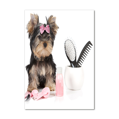 Impresión en metacrilato de alta calidad vertical Cosméticos de Yorkshire