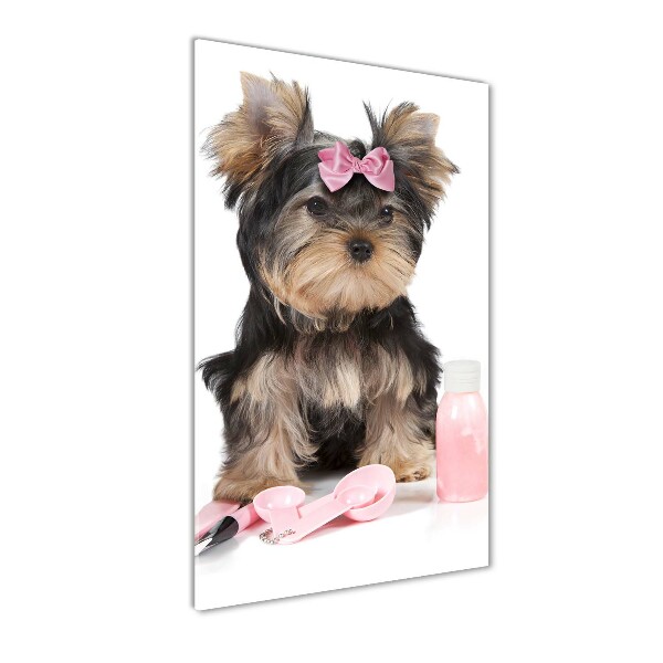 Impresión en metacrilato de alta calidad vertical Cosméticos de Yorkshire