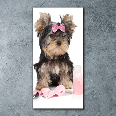 Impresión en metacrilato de alta calidad vertical Cosméticos de Yorkshire