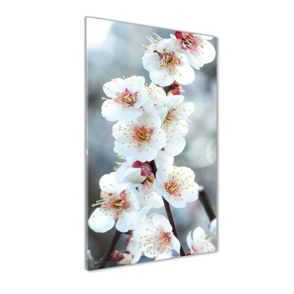 Cuadro de metacrilato vertical flores de cerezo