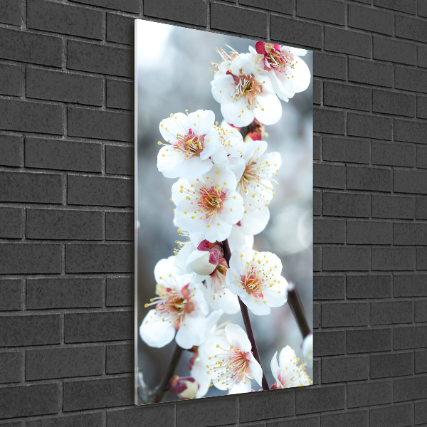 Cuadro de metacrilato vertical flores de cerezo