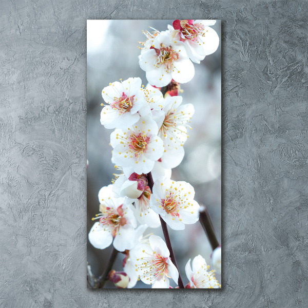 Cuadro de metacrilato vertical flores de cerezo
