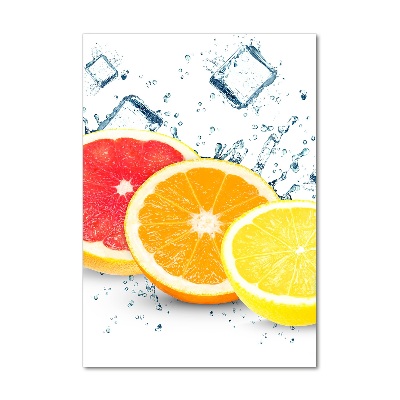 Cuadro de metacrilato vertical Frutas cítricas