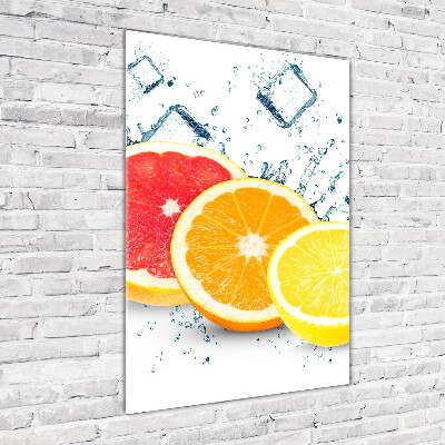 Cuadro de metacrilato vertical Frutas cítricas