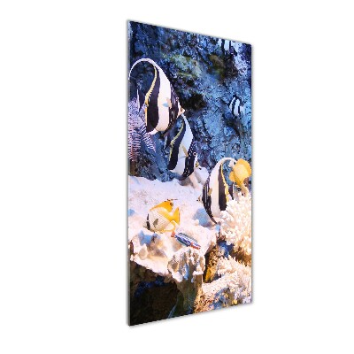 Cuadro de metacrilato moderno efecto cristal vertical Arrecife de coral