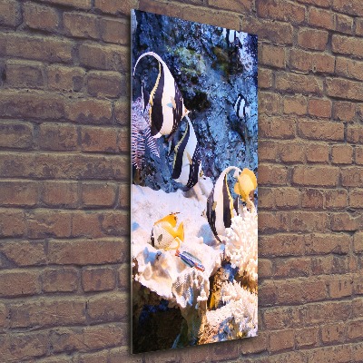 Cuadro de metacrilato moderno efecto cristal vertical Arrecife de coral