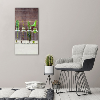Cuadro decorativo en acrílico brillante vertical Hierbas en frascos