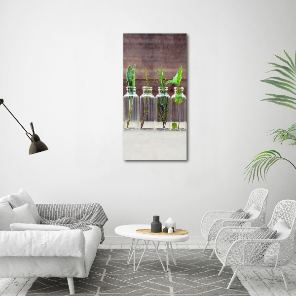 Cuadro decorativo en acrílico brillante vertical Hierbas en frascos