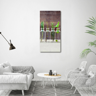 Cuadro decorativo en acrílico brillante vertical Hierbas en frascos