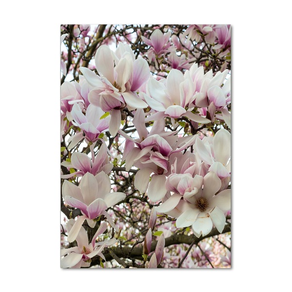 Cuadro de metacrilato vertical flores de magnolia